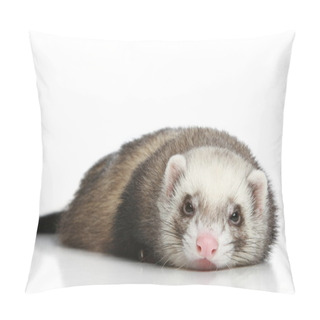 Personality  Ferret On A White Background Pillow Covers