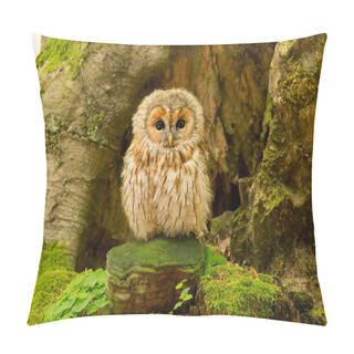 Personality  Tawny Owl In Forest Pillow Covers