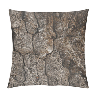 Personality  Cracked Rough Brown Tree Bark Background Pillow Covers