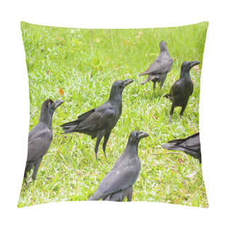 Personality  Crow On The Lawn Pillow Covers