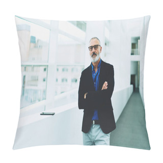 Personality  Professional Lawyer Wearing Glasses Waiting For The Clients In The Office Corridor. Smart Looking Aged Male With Beard Looking At The Camera While Standing Beside The Office Window In Bright Corridor Pillow Covers