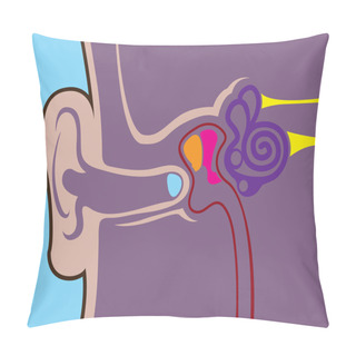 Personality  Anatomy Of Human Ear Pillow Covers