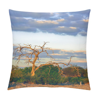 Personality  Kalahari At Dusk Pillow Covers