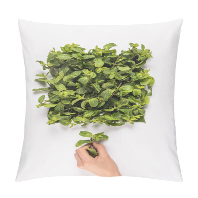Personality  hand holding mint leaf pillow covers