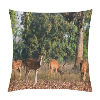 Personality  Spotted Deers. Pillow Covers