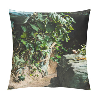 Personality  Scenic Shot Of Path Into Cave In Jungle Covered With Green Leaves Pillow Covers