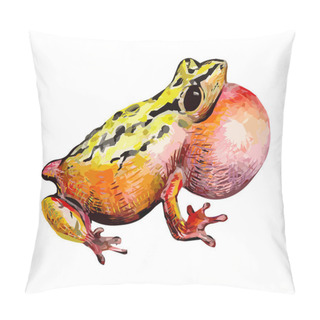 Personality  Funny Frog Pillow Covers
