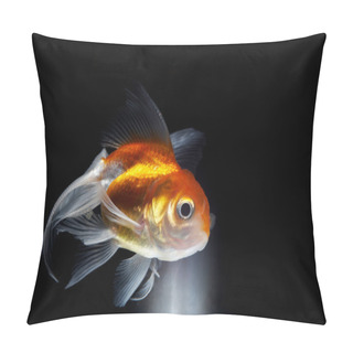 Personality  View Of Big Goldfish Coming To The Light Through Black Environment Pillow Covers