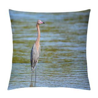 Personality  Reddish Egret (Egretta Rufescens)  Pillow Covers