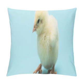 Personality  Cute Small Chick On Blue Background, Banner Pillow Covers
