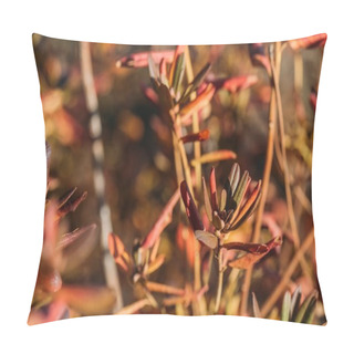 Personality  Beautiful Autumn Leaves Pillow Covers
