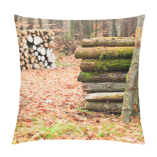Personality  Big Pile Of Wood In Forest Pillow Covers