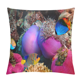 Personality  Threadfin Butterflyfish Pillow Covers
