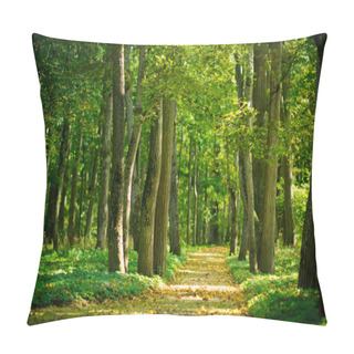 Personality  Alley In The Forest Pillow Covers