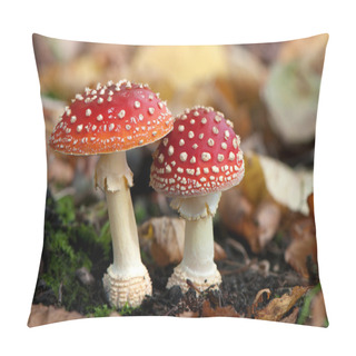 Personality  Two Spotted Toadstools Pillow Covers