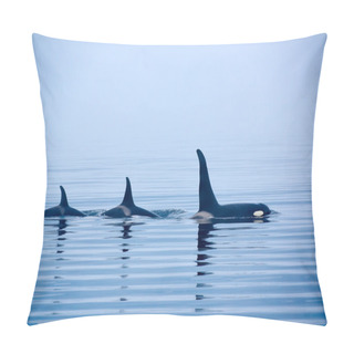 Personality  Three Killer Whales With Huge Dorsal Fins At Vancouver Island Pillow Covers