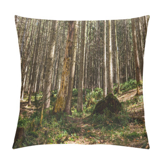 Personality  Evergreen Forest With Moss And Grass On Ground  Pillow Covers