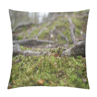 Personality  Close-up Of Green Moss In Spring With Sticks, Leaves And Twigs On Forest Floor In Midwest, With Trees In Background Pillow Covers