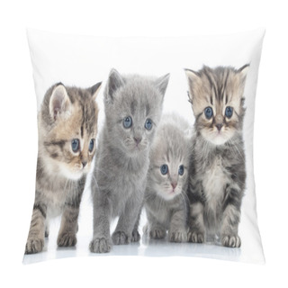 Personality  Portrait Of Young Cats' Group . Studio Shot. Isolated. Pillow Covers