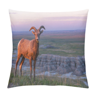Personality  Badlands Bighorn Sheep At Sunrise Pillow Covers