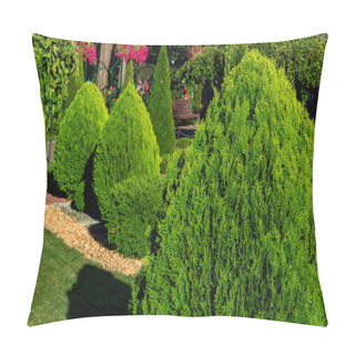 Personality  Landscaping Of A Backyard Garden With Evergreen Arborvitae Bushes In A Summer Greenery Park With Decorative Landscape Design And Lawn Lit By Sunlight, Nobody. Pillow Covers