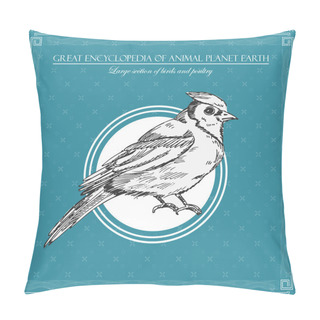 Personality  Bird. Illustration For Great Encyclopedy Of Birds And Animals Pillow Covers