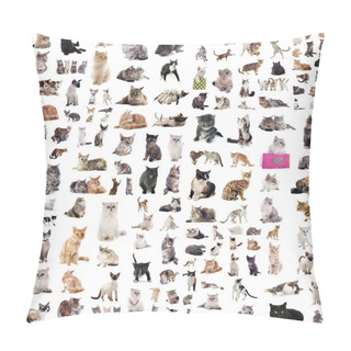 Personality  Group Of Cats Pillow Covers