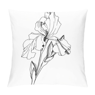 Personality  Vector Iris Floral Botanical Flower. Wild Spring Leaf Wildflower Isolated. Black And White Engraved Ink Art. Isolated Iris Illustration Element On White Background. Pillow Covers