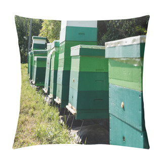 Personality  Row Of Beehives On Apiary Outdoors Pillow Covers