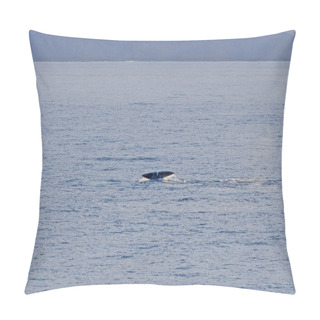 Personality  Bowhead Whale Flukes In The Arctic Pillow Covers