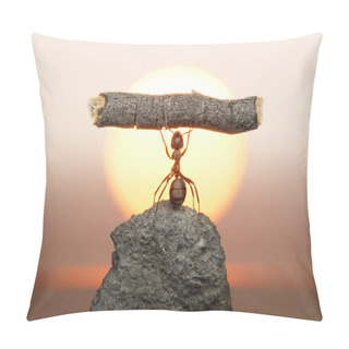 Personality  Statue Of Labour, Ants Civilization Pillow Covers