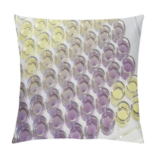 Personality  Colorful Liquid Beakers Close Up Top View Pillow Covers