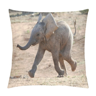 Personality  Baby Elephant Running Pillow Covers