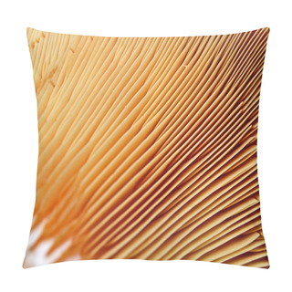 Personality  Abstract Fungus Closeup, Season Details. Pillow Covers