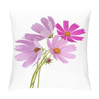 Personality  Cosmos Flowers Isolated On A White Background.  Pillow Covers