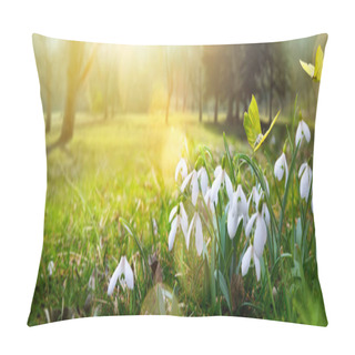 Personality  Easter Background With Fresh Spring Flower And Yellow Butterfly Pillow Covers