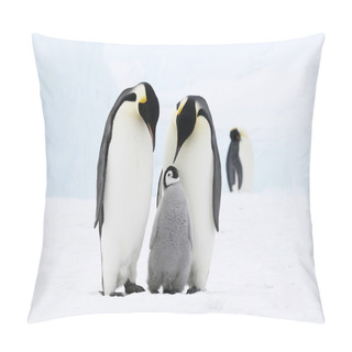 Personality  Emperor Penguin Family Pillow Covers