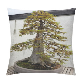 Personality  Bonsai Miniature Pine Tree Pillow Covers