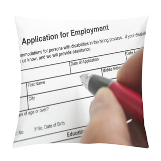 Personality  Application For Employment Pillow Covers