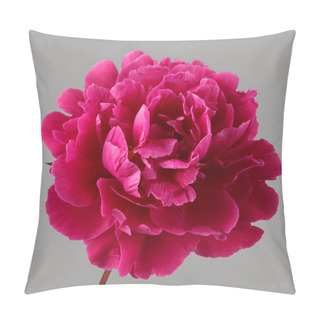 Personality  Purple Peony Flower On Gray Background Pillow Covers
