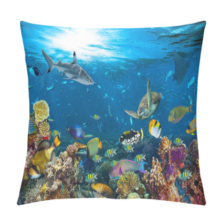 Personality  Underwater Paradise Background Coral Reef Wildlife Nature Collage With Shark Manta Ray Sea Turtle Colorful Fish Background Pillow Covers