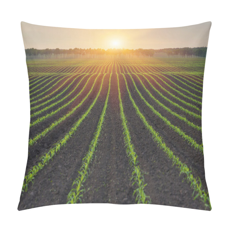 Personality  Rural Landscape Pillow Covers
