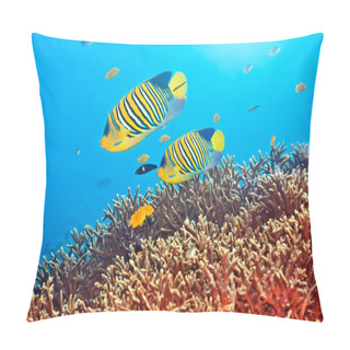 Personality  Royal Angelfishes Pillow Covers