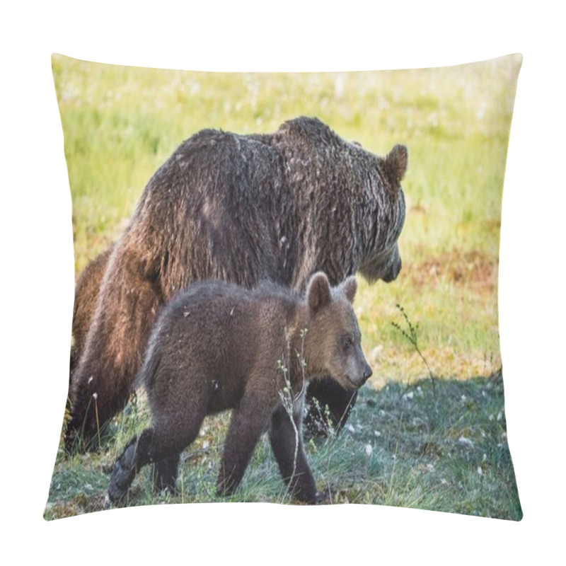Personality  She-Bear and Cubs of Brown bear pillow covers