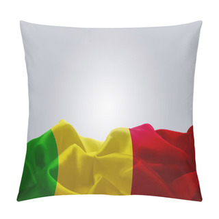 Personality  National Flag Of Mali Pillow Covers