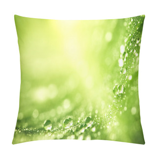 Personality  Beautiful Green Leaf With Drops Of Water Pillow Covers