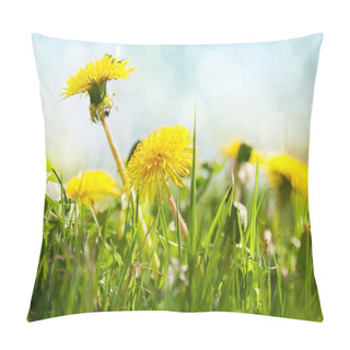 Personality  Spring Flowers, Dandelion Pillow Covers