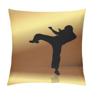Personality  Martial Arts Illustration Pillow Covers