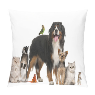 Personality  Group Of Pets Pillow Covers