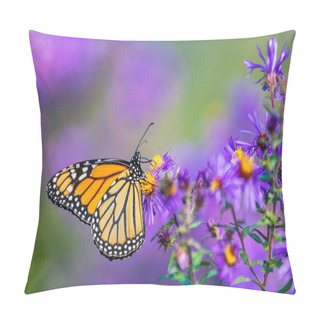 Personality  Monarch Butterfly Feeding On Purple Aster Flower In Summer Floral Background. Monarch Butterflies In Autumn Blooming Asters Pillow Covers